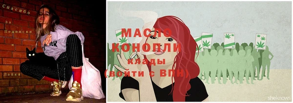 индика Верхний Тагил