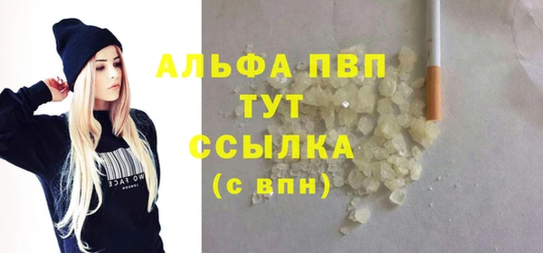 индика Верхний Тагил