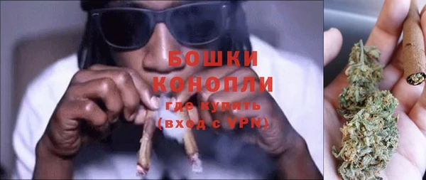 индика Верхний Тагил