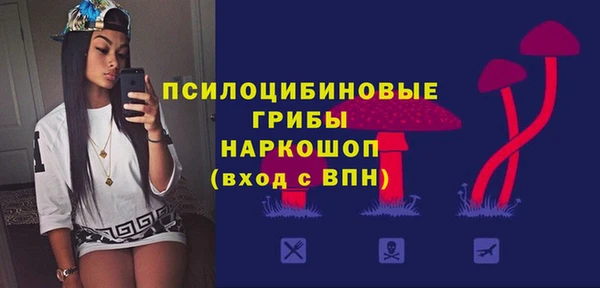 соль ск Верхнеуральск