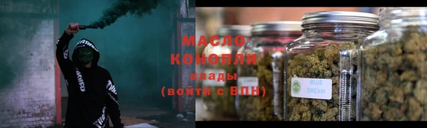 индика Верхний Тагил