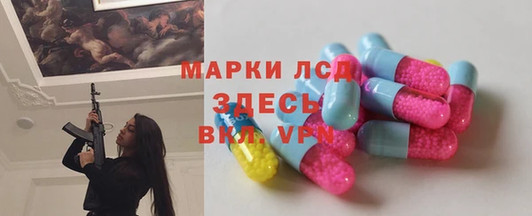 индика Верхний Тагил