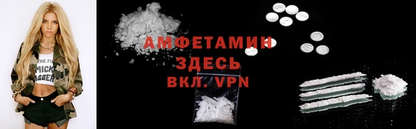 индика Верхний Тагил