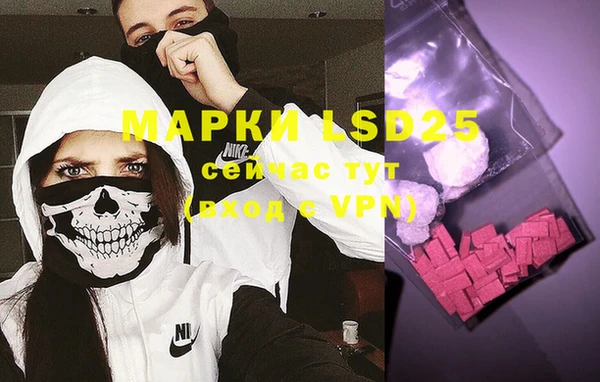 индика Верхний Тагил
