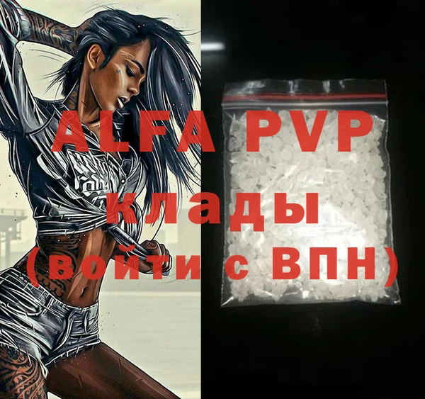 индика Верхний Тагил