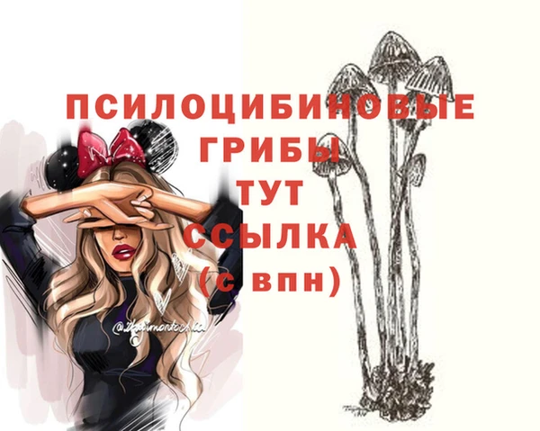 индика Верхний Тагил