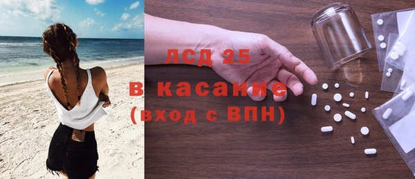 индика Верхний Тагил