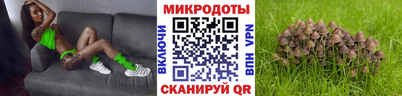 Псилоцибиновые грибы мухоморы  Купить  Барабинск 